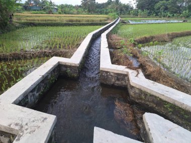 Endonezya pirinç tarlalarında sulama. Ekinlere su sağlamak için kanallar ve pompalar gibi yapay su taşıma sistemlerine dayanan pirinç tarımı anlamına geliyor.