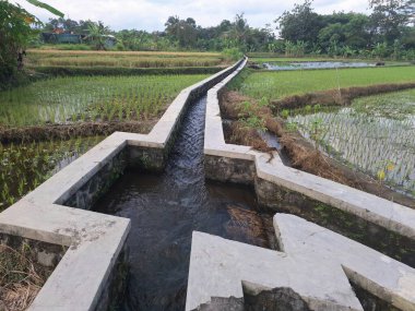 Endonezya pirinç tarlalarında sulama. Ekinlere su sağlamak için kanallar ve pompalar gibi yapay su taşıma sistemlerine dayanan pirinç tarımı anlamına geliyor.