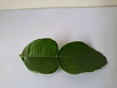 Kafir limon yaprakları. Özellikle Asya mutfağında, eşsiz lezzetleri ve aromaları için kullanılırlar. Bitkisel ilaçlar da dahil olmak üzere çeşitli uygulamalarda da kullanılmaktadırlar.