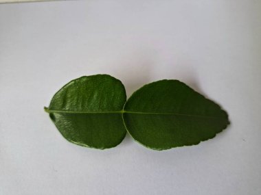 Kafir limon yaprakları. Özellikle Asya mutfağında, eşsiz lezzetleri ve aromaları için kullanılırlar. Bitkisel ilaçlar da dahil olmak üzere çeşitli uygulamalarda da kullanılmaktadırlar.