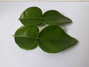 Kafir limon yaprakları. Özellikle Asya mutfağında, eşsiz lezzetleri ve aromaları için kullanılırlar. Bitkisel ilaçlar da dahil olmak üzere çeşitli uygulamalarda da kullanılmaktadırlar.