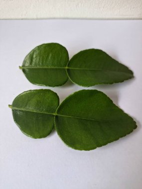 Kafir limon yaprakları. Özellikle Asya mutfağında, eşsiz lezzetleri ve aromaları için kullanılırlar. Bitkisel ilaçlar da dahil olmak üzere çeşitli uygulamalarda da kullanılmaktadırlar.