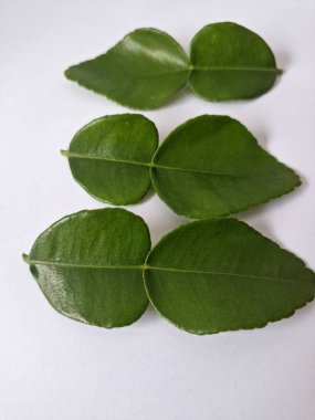 Kafir limon yaprakları. Özellikle Asya mutfağında, eşsiz lezzetleri ve aromaları için kullanılırlar. Bitkisel ilaçlar da dahil olmak üzere çeşitli uygulamalarda da kullanılmaktadırlar.