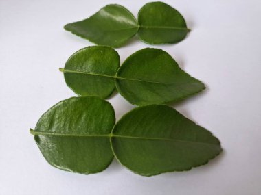 Kafir limon yaprakları. Özellikle Asya mutfağında, eşsiz lezzetleri ve aromaları için kullanılırlar. Bitkisel ilaçlar da dahil olmak üzere çeşitli uygulamalarda da kullanılmaktadırlar.