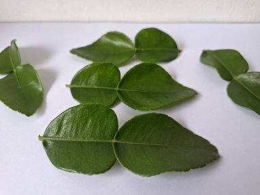 Kafir limon yaprakları. Özellikle Asya mutfağında, eşsiz lezzetleri ve aromaları için kullanılırlar. Bitkisel ilaçlar da dahil olmak üzere çeşitli uygulamalarda da kullanılmaktadırlar.