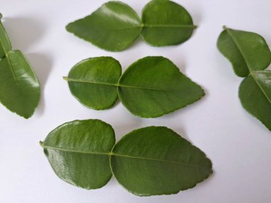Kafir limon yaprakları. Özellikle Asya mutfağında, eşsiz lezzetleri ve aromaları için kullanılırlar. Bitkisel ilaçlar da dahil olmak üzere çeşitli uygulamalarda da kullanılmaktadırlar.