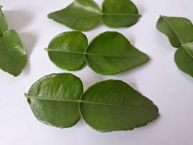 Kafir limon yaprakları. Özellikle Asya mutfağında, eşsiz lezzetleri ve aromaları için kullanılırlar. Bitkisel ilaçlar da dahil olmak üzere çeşitli uygulamalarda da kullanılmaktadırlar.