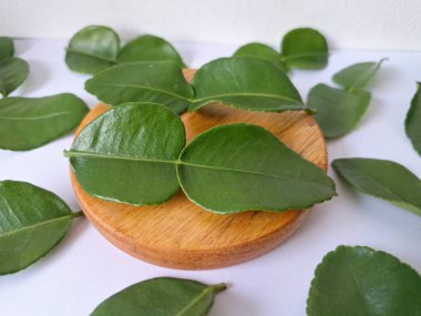 Servis panosunda Kaffir kireç yaprakları var. Özellikle Asya mutfağında, eşsiz lezzetleri ve aromaları için kullanılırlar. Bitkisel ilaçlar da dahil olmak üzere çeşitli uygulamalarda da kullanılmaktadırlar.