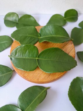 Servis panosunda Kaffir kireç yaprakları var. Özellikle Asya mutfağında, eşsiz lezzetleri ve aromaları için kullanılırlar. Bitkisel ilaçlar da dahil olmak üzere çeşitli uygulamalarda da kullanılmaktadırlar.