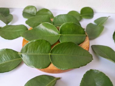 Servis panosunda Kaffir kireç yaprakları var. Özellikle Asya mutfağında, eşsiz lezzetleri ve aromaları için kullanılırlar. Bitkisel ilaçlar da dahil olmak üzere çeşitli uygulamalarda da kullanılmaktadırlar.