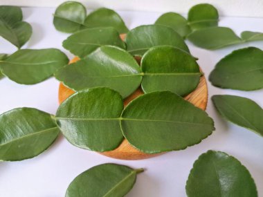 Servis panosunda Kaffir kireç yaprakları var. Özellikle Asya mutfağında, eşsiz lezzetleri ve aromaları için kullanılırlar. Bitkisel ilaçlar da dahil olmak üzere çeşitli uygulamalarda da kullanılmaktadırlar.