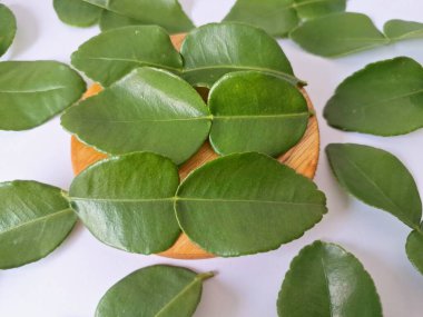 Servis panosunda Kaffir kireç yaprakları var. Özellikle Asya mutfağında, eşsiz lezzetleri ve aromaları için kullanılırlar. Bitkisel ilaçlar da dahil olmak üzere çeşitli uygulamalarda da kullanılmaktadırlar.