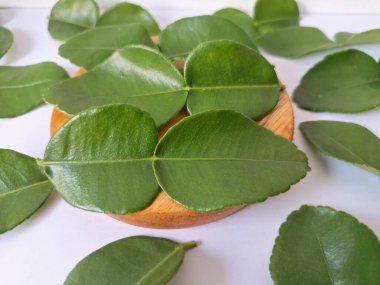 Servis panosunda Kaffir kireç yaprakları var. Özellikle Asya mutfağında, eşsiz lezzetleri ve aromaları için kullanılırlar. Bitkisel ilaçlar da dahil olmak üzere çeşitli uygulamalarda da kullanılmaktadırlar.