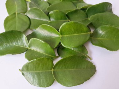 Kafir limon yaprakları. Özellikle Asya mutfağında, eşsiz lezzetleri ve aromaları için kullanılırlar. Bitkisel ilaçlar da dahil olmak üzere çeşitli uygulamalarda da kullanılmaktadırlar.