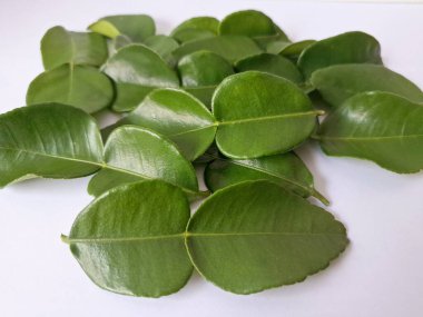 Kafir limon yaprakları. Özellikle Asya mutfağında, eşsiz lezzetleri ve aromaları için kullanılırlar. Bitkisel ilaçlar da dahil olmak üzere çeşitli uygulamalarda da kullanılmaktadırlar.