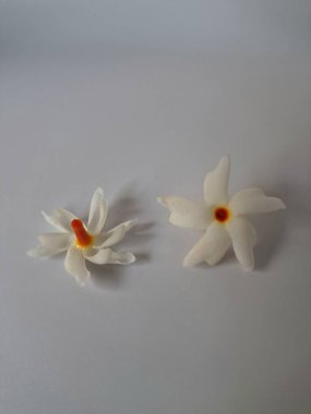 Beyaz arka planda izole edilmiş Nyctanthes ağaç tristis çiçeği