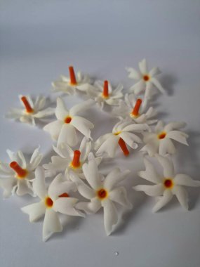 Beyaz arka planda izole edilmiş Nyctanthes ağaç tristis çiçeği