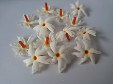 Beyaz arka planda izole edilmiş Nyctanthes ağaç tristis çiçeği