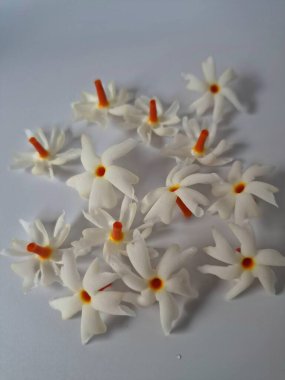 Beyaz arka planda izole edilmiş Nyctanthes ağaç tristis çiçeği