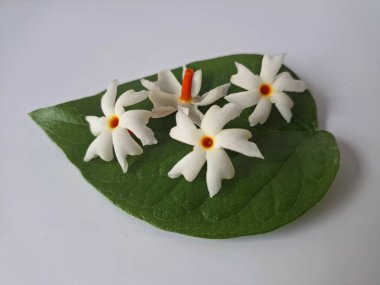 Parijat çiçeği (Nyctanthes ağaç-tristis) beyaz arkaplanda izole edilmiş parijat yaprağının üzerinde