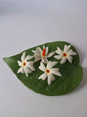 Parijat çiçeği (Nyctanthes ağaç-tristis) beyaz arkaplanda izole edilmiş parijat yaprağının üzerinde