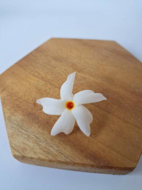 Servis tahtasındaki taze parijat çiçekleri. Çeşitli kullanımları var, hem tıbbi hem de kültürel. Ayurvedic tıpta ateş, öksürük ve soğuk algınlığını tedavi etmek için kullanılır. Çiçekler Hindu ayinlerinde ve tanrılara adak olarak da kullanılır.