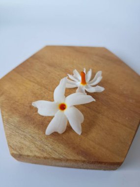 Servis tahtasındaki taze parijat çiçekleri. Çeşitli kullanımları var, hem tıbbi hem de kültürel. Ayurvedic tıpta ateş, öksürük ve soğuk algınlığını tedavi etmek için kullanılır. Çiçekler Hindu ayinlerinde ve tanrılara adak olarak da kullanılır.