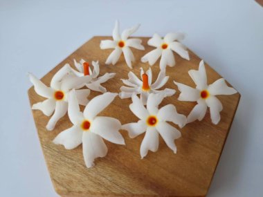 Servis tahtasındaki taze parijat çiçekleri. Çeşitli kullanımları var, hem tıbbi hem de kültürel. Ayurvedic tıpta ateş, öksürük ve soğuk algınlığını tedavi etmek için kullanılır. Çiçekler Hindu ayinlerinde ve tanrılara adak olarak da kullanılır.