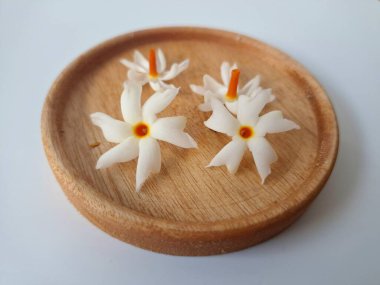 Küçük tahta bir tabakta taze parijat çiçekleri. Çeşitli kullanımları var, hem tıbbi hem de kültürel. Ayurvedic tıpta ateş, öksürük ve soğuk algınlığını tedavi etmek için kullanılır. Çiçekler Hindu ayinlerinde ve tanrılara adak olarak da kullanılır.