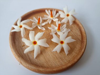 Küçük tahta bir tabakta taze parijat çiçekleri. Çeşitli kullanımları var, hem tıbbi hem de kültürel. Ayurvedic tıpta ateş, öksürük ve soğuk algınlığını tedavi etmek için kullanılır. Çiçekler Hindu ayinlerinde ve tanrılara adak olarak da kullanılır.