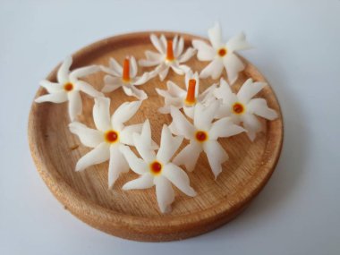 Küçük tahta bir tabakta taze parijat çiçekleri. Çeşitli kullanımları var, hem tıbbi hem de kültürel. Ayurvedic tıpta ateş, öksürük ve soğuk algınlığını tedavi etmek için kullanılır. Çiçekler Hindu ayinlerinde ve tanrılara adak olarak da kullanılır.