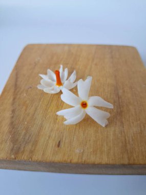 Servis tahtasındaki taze parijat çiçekleri. Çeşitli kullanımları var, hem tıbbi hem de kültürel. Ayurvedic tıpta ateş, öksürük ve soğuk algınlığını tedavi etmek için kullanılır. Çiçekler Hindu ayinlerinde ve tanrılara adak olarak da kullanılır.