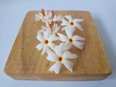 Servis tahtasındaki taze parijat çiçekleri. Çeşitli kullanımları var, hem tıbbi hem de kültürel. Ayurvedic tıpta ateş, öksürük ve soğuk algınlığını tedavi etmek için kullanılır. Çiçekler Hindu ayinlerinde ve tanrılara adak olarak da kullanılır.