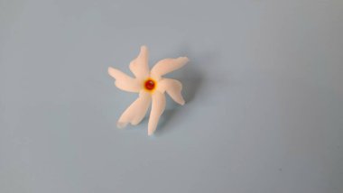 Beyaz arka planda izole edilmiş Nyctanthes ağaç tristis çiçeği