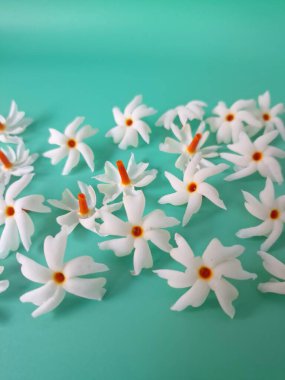 Yeşil arka planda mercan yasemin çiçeği. Bu çiçek ayrıca Parijat veya Harsingar gibi diğer isimlerle de bilinir. Yıldız şeklinde, beyaz çiçeklerin yasemin gibi bir kokusu var.