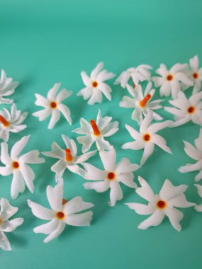 Yeşil arka planda mercan yasemin çiçeği. Bu çiçek ayrıca Parijat veya Harsingar gibi diğer isimlerle de bilinir. Yıldız şeklinde, beyaz çiçeklerin yasemin gibi bir kokusu var.