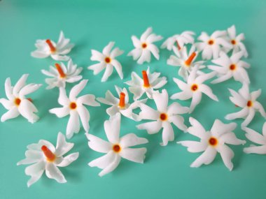 Yeşil arka planda mercan yasemin çiçeği. Bu çiçek ayrıca Parijat veya Harsingar gibi diğer isimlerle de bilinir. Yıldız şeklinde, beyaz çiçeklerin yasemin gibi bir kokusu var.