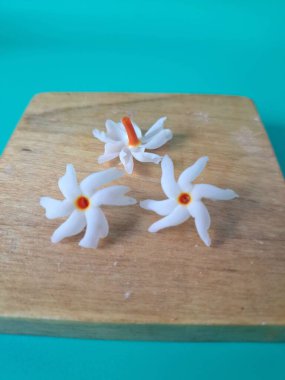 Servis tahtasındaki taze parijat çiçekleri. Çeşitli kullanımları var, hem tıbbi hem de kültürel. Ayurvedic tıpta ateş, öksürük ve soğuk algınlığını tedavi etmek için kullanılır. Çiçekler Hindu ayinlerinde ve tanrılara adak olarak da kullanılır.