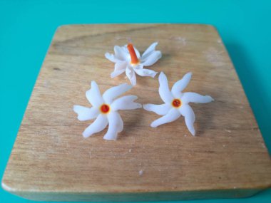 Servis tahtasındaki taze parijat çiçekleri. Çeşitli kullanımları var, hem tıbbi hem de kültürel. Ayurvedic tıpta ateş, öksürük ve soğuk algınlığını tedavi etmek için kullanılır. Çiçekler Hindu ayinlerinde ve tanrılara adak olarak da kullanılır.