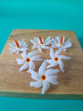 Servis tahtasındaki taze parijat çiçekleri. Çeşitli kullanımları var, hem tıbbi hem de kültürel. Ayurvedic tıpta ateş, öksürük ve soğuk algınlığını tedavi etmek için kullanılır. Çiçekler Hindu ayinlerinde ve tanrılara adak olarak da kullanılır.