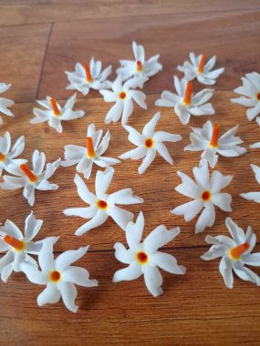 Taze parijat çiçekleri masada. Parijat çiçeğinin çeşitli kullanımları vardır, hem tıbbi hem de kültürel. Ayurvedic tıpta ateş, öksürük ve soğuk algınlığını tedavi etmek için kullanılır. Çiçekler Hindu ayinlerinde ve tanrılara adak olarak da kullanılır.