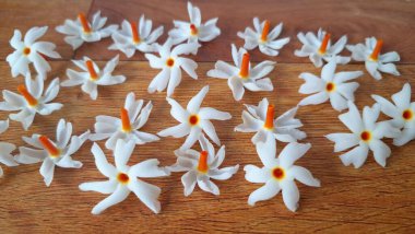 Taze parijat çiçekleri masada. Parijat çiçeğinin çeşitli kullanımları vardır, hem tıbbi hem de kültürel. Ayurvedic tıpta ateş, öksürük ve soğuk algınlığını tedavi etmek için kullanılır. Çiçekler Hindu ayinlerinde ve tanrılara adak olarak da kullanılır.