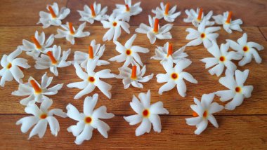 Taze parijat çiçekleri masada. Parijat çiçeğinin çeşitli kullanımları vardır, hem tıbbi hem de kültürel. Ayurvedic tıpta ateş, öksürük ve soğuk algınlığını tedavi etmek için kullanılır. Çiçekler Hindu ayinlerinde ve tanrılara adak olarak da kullanılır.