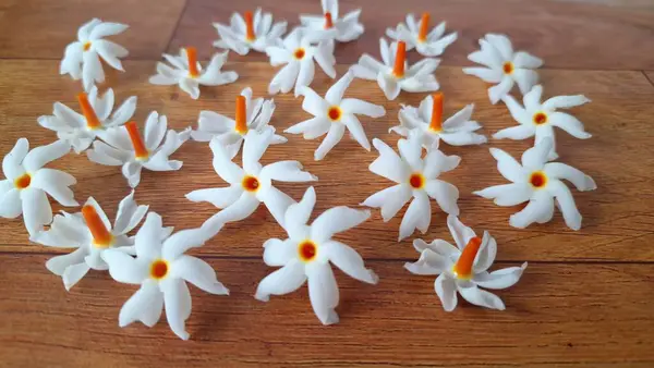 Taze parijat çiçekleri masada. Parijat çiçeğinin çeşitli kullanımları vardır, hem tıbbi hem de kültürel. Ayurvedic tıpta ateş, öksürük ve soğuk algınlığını tedavi etmek için kullanılır. Çiçekler Hindu ayinlerinde ve tanrılara adak olarak da kullanılır.