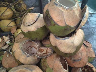 Genellikle çöp olarak kabul edilen genç hindistan cevizi kabuğu atığı yığınları, aslında kullanım için büyük potansiyele sahiptir. Genç hindistan cevizi kabukları, et alındıktan sonra hindistan cevizi meyvesinin sert kısmı.