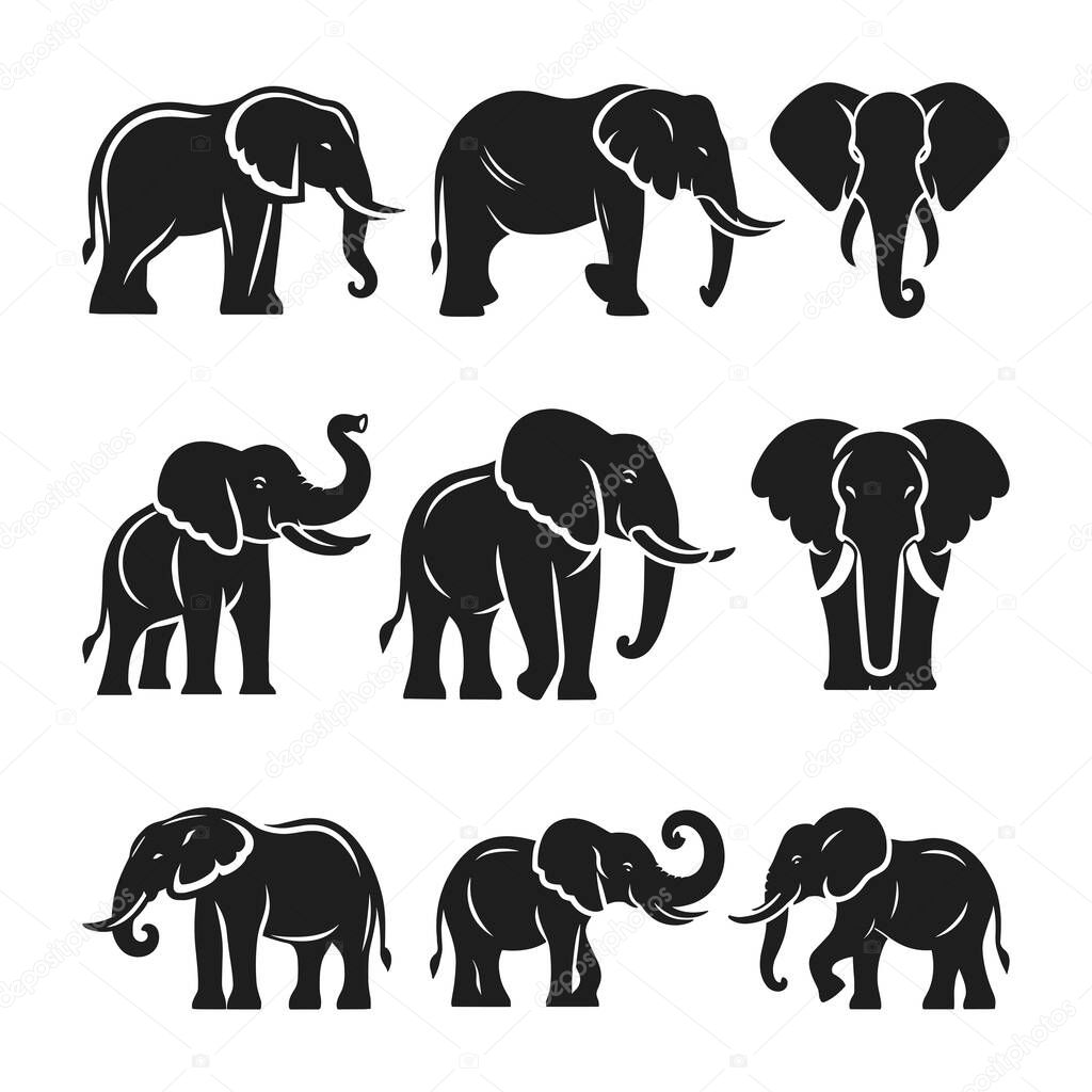 A collection of elegant elephant silhouette illustrations, showcasing different poses and angles. Ideal for wildlife designs, safari-themed projects, and nature-inspired art.
