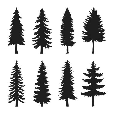 A detailed vector illustration featuring a variety of pine tree silhouettes in different shapes and styles. Perfect for nature-themed designs, outdoor branding, wilderness artwork, camping graphics, and forest-related creative projects. Suitable for 
