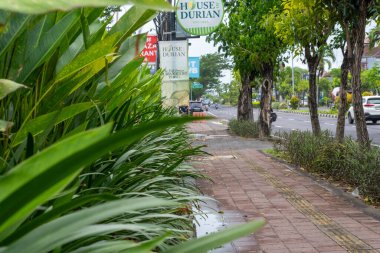 Bali, Endonezya - 10 Aralık 2024: Durian Hanedanı 'nın işaretiyle sokak. Sokak ağaçlar ve çalılarla dolu. Yapraklar yeşil.