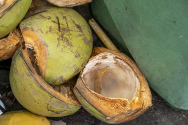 Yere hindistan cevizi kabuğu yığını. Mermiler yeşil ve kırılmış.