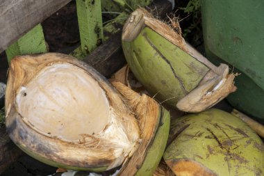 Yere hindistan cevizi kabuğu yığını. Mermiler yeşil ve kırılmış.